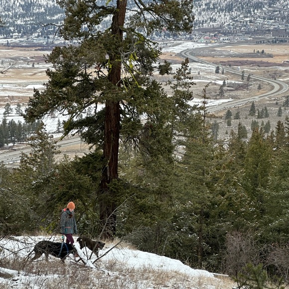 Meet your Posher - Picture 1 of 1